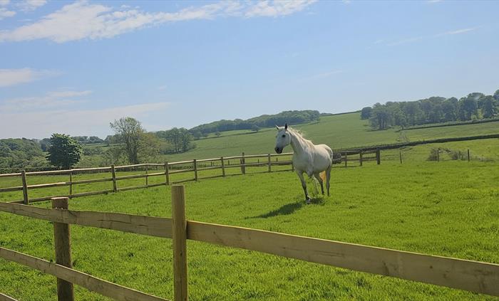 Redford Caravan Park